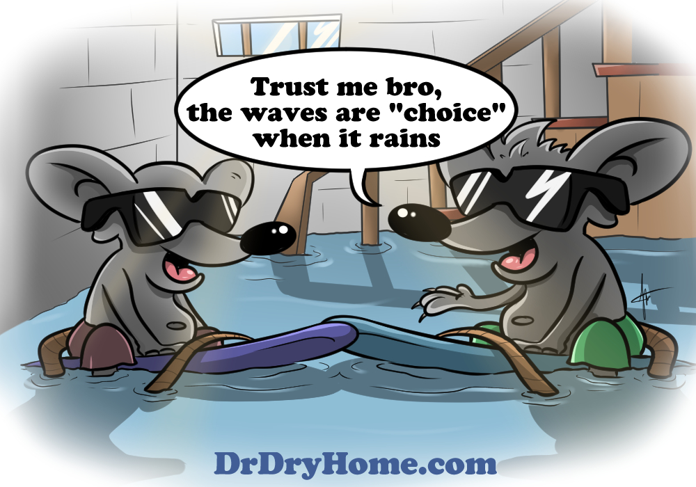 Dr Dry Home Waterproofing Slider Image 1